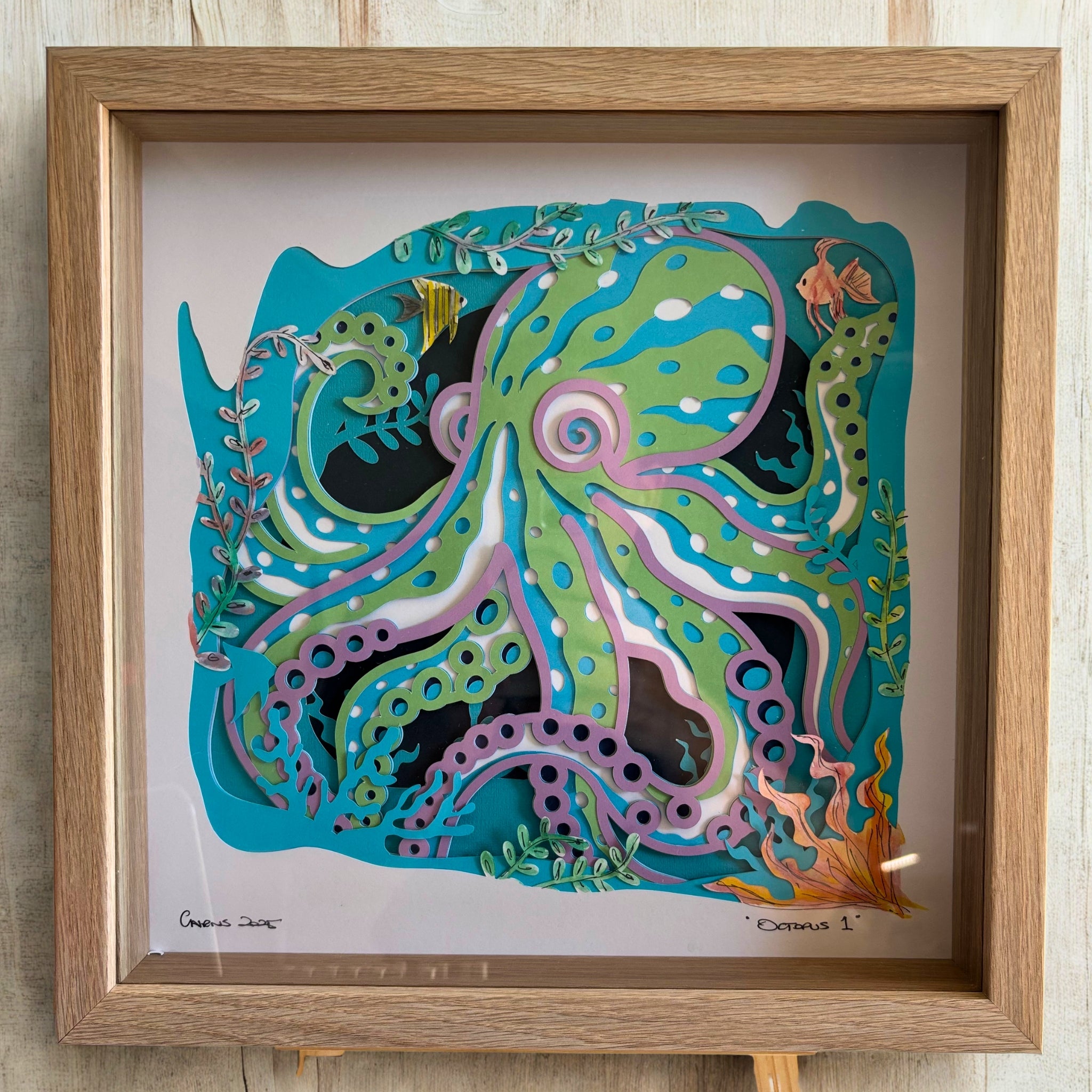 "Octopus 1" Shadow Box